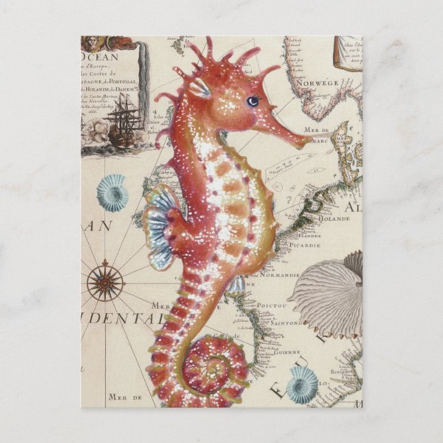 Seepferdchen Shabby Postkarte (Vorderseite)