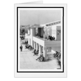 Seepferde am Sarasota