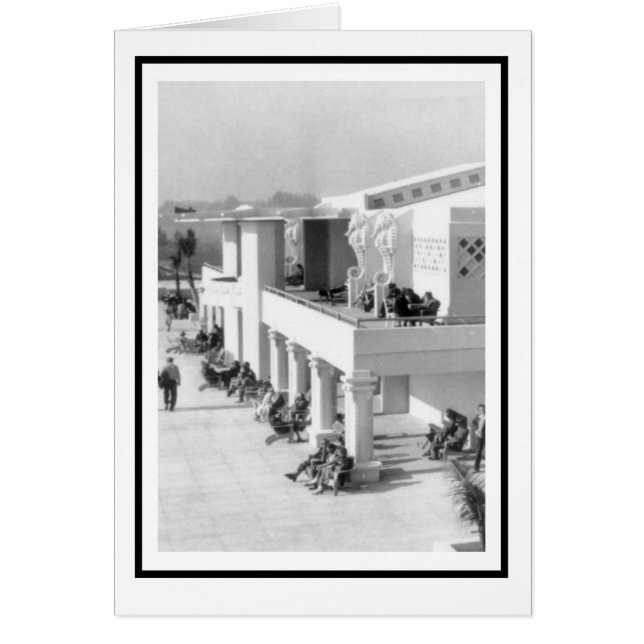 Seepferde am Sarasota (Vorne)