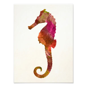 Seepferdwatercolor-Silhouette-Seepferderosa Fotodruck