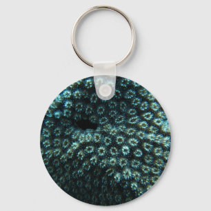 Seepocken Schlüsselanhänger