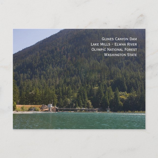 Seepromenade Locarno Postkarte (Vorderseite)