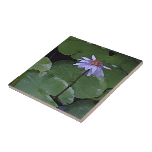 Seerose Fliese