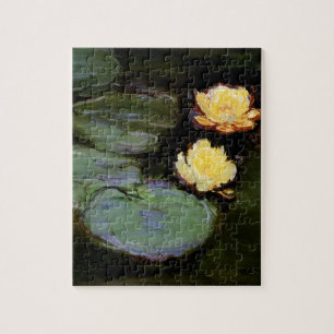 Seerosen: 1897-98 von Monet