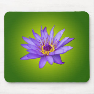 Seerosen-Blumen-Teich Wasserpflanze Lila Wasserblü Mousepad