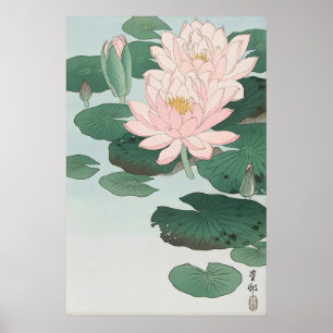 Seerosen-Finest-Kunst-Druck Ohara Koson Japanisch Poster