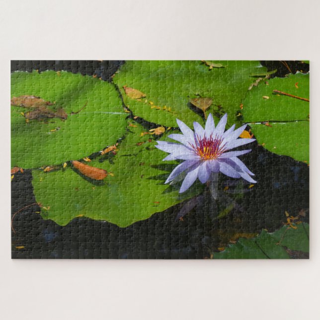 Seerosen-Foto-Puzzle (Horizontal)