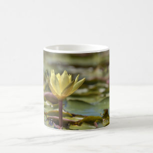 Seerosen-Kaffeetasse – Naturfotografie Kaffeetasse