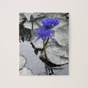 Seerosen-Liebes-Foto-Puzzle