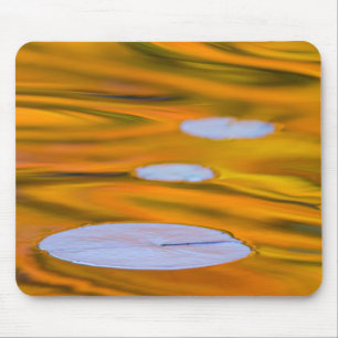 Seerosenblatt auf orangem Wasser, Kanada Mousepad