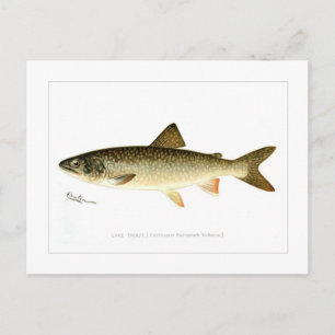Seesaibling Postkarte