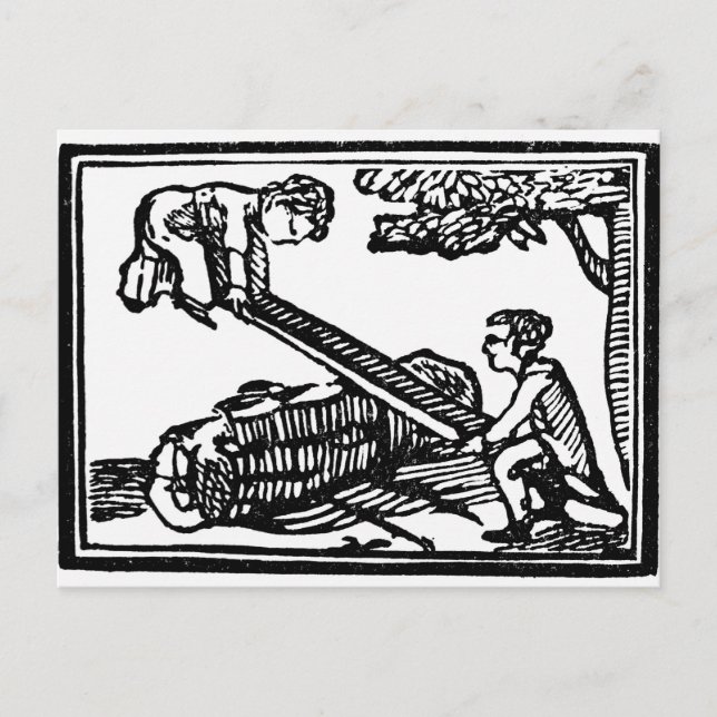 Seesaw Postkarte (Vorderseite)