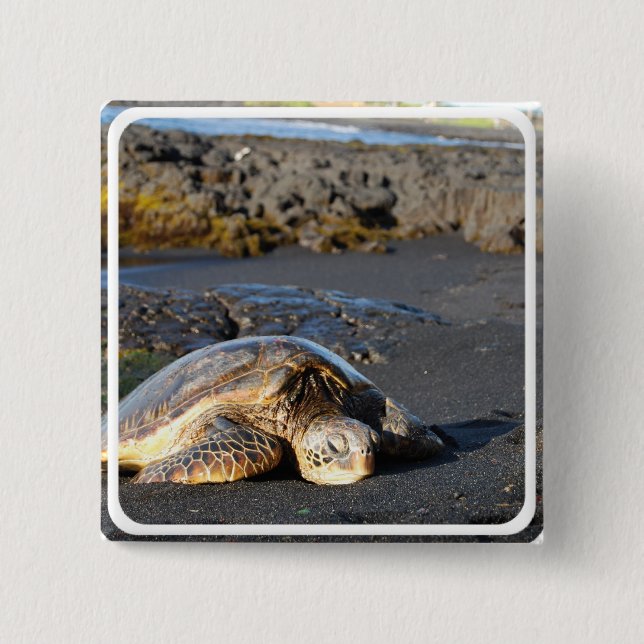 Seeschildkröte-Quadrat-Button Button (Vorderseite)