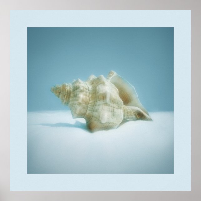 Seeschngel - Poster (Vorne)