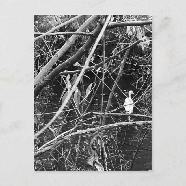 Seespeicher Postkarte (Vorderseite)