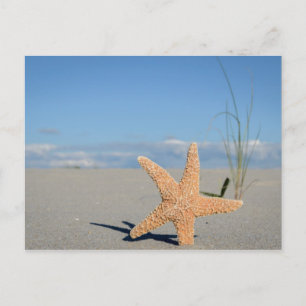 Seestern am Strand Postkarte