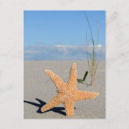 Seestern am Strand Postkarte