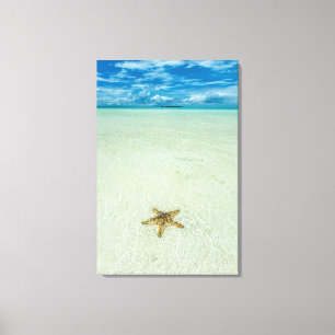 Seestern im flachen Wasser, Palau Leinwanddruck