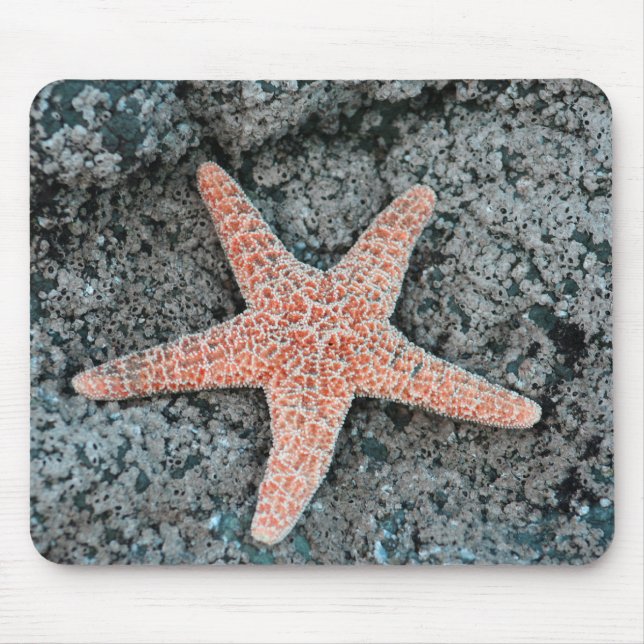 Seestern-Mauspad Mousepad (Vorne)