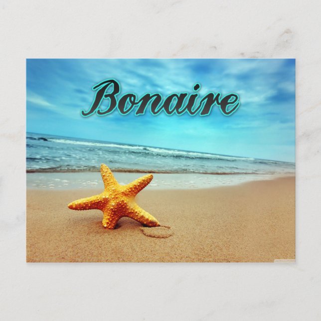 Seesterne Postkarte (Vorderseite)