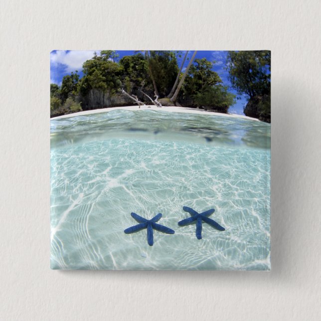Seesterne, Rock Islands, Palau 2 Button (Vorderseite)