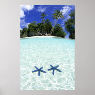 Seesterne, Rock Islands, Palau Poster