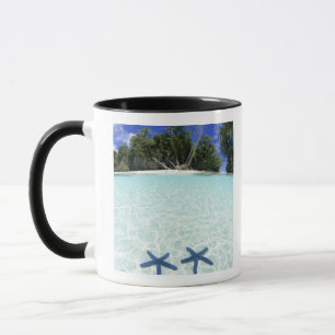 Seesterne, Rock Islands, Palau Tasse