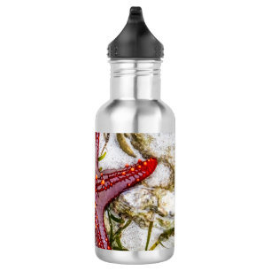 Seesterne, Sansibar, Tansania Edelstahlflasche