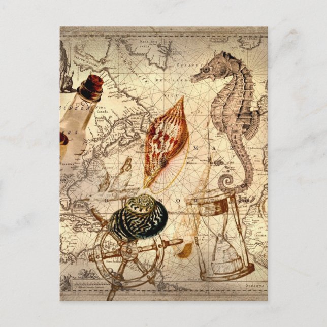 Seesterne seashell Nautical Map Postkarte (Vorderseite)