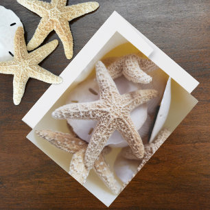 Seesterne und Sanddollars Muschel-Fotografie Mitteilungskarte