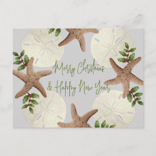 Seesterne und Sanddollars Strand Weihnachts-Postka Postkarte
