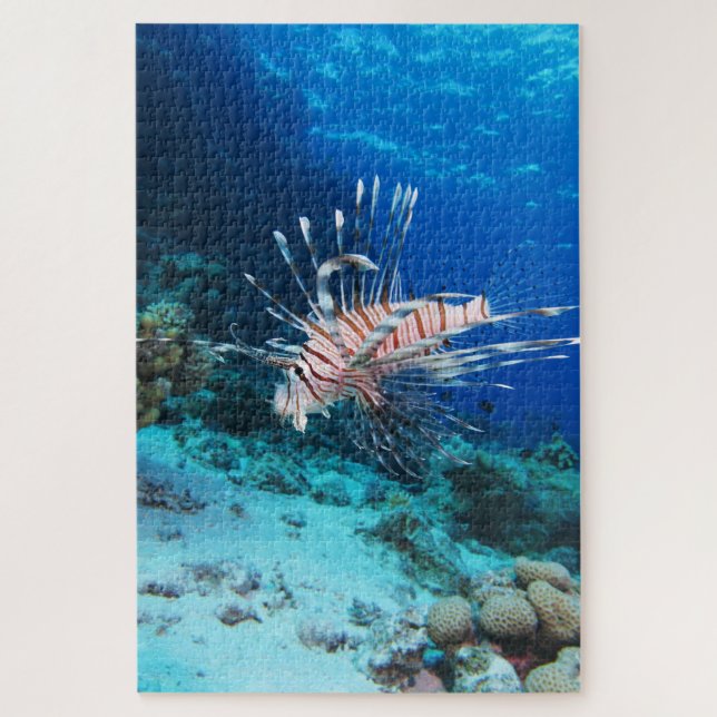 Seeteufel oder Seemeilen, Seefische der Ocean Reef (Vertikal)