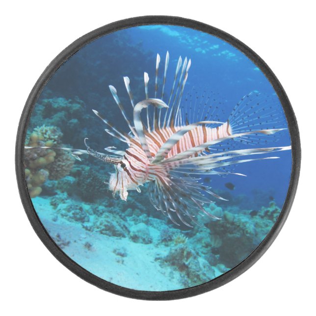 Seeteufel oder Seemeilen, Seefische der Ocean Reef Eishockey Puck (Vorderseite)
