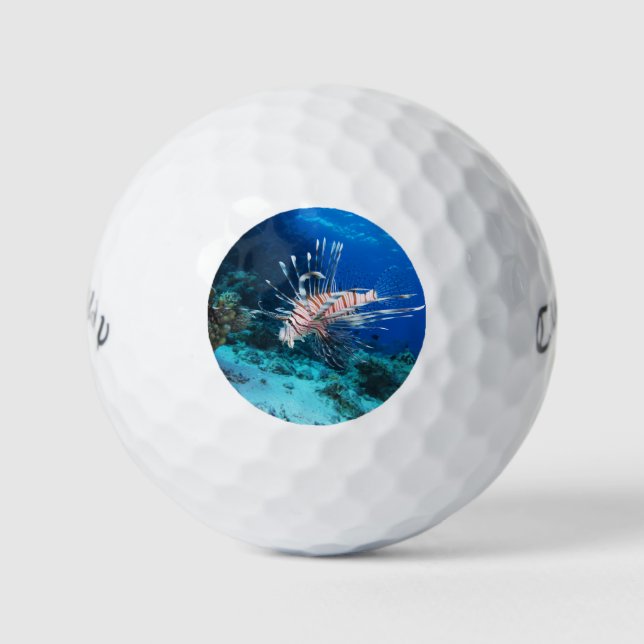 Seeteufel oder Seemeilen, Seefische der Ocean Reef Golfball (Vorderseite)