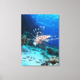 Seeteufel oder Seemeilen, Seefische der Ocean Reef Leinwanddruck
