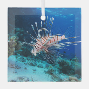 Seeteufel oder Seemeilen, Seefische der Ocean Reef Ornament Aus Glas
