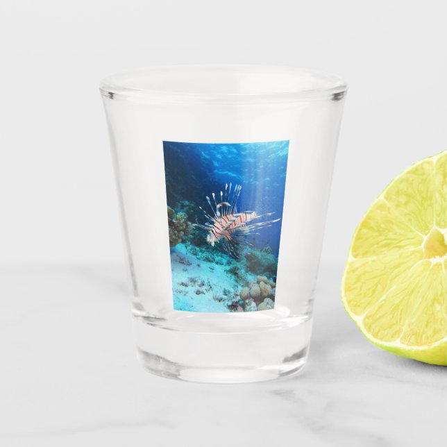 Seeteufel oder Seemeilen, Seefische der Ocean Reef Schnapsglas (Vorderseite)