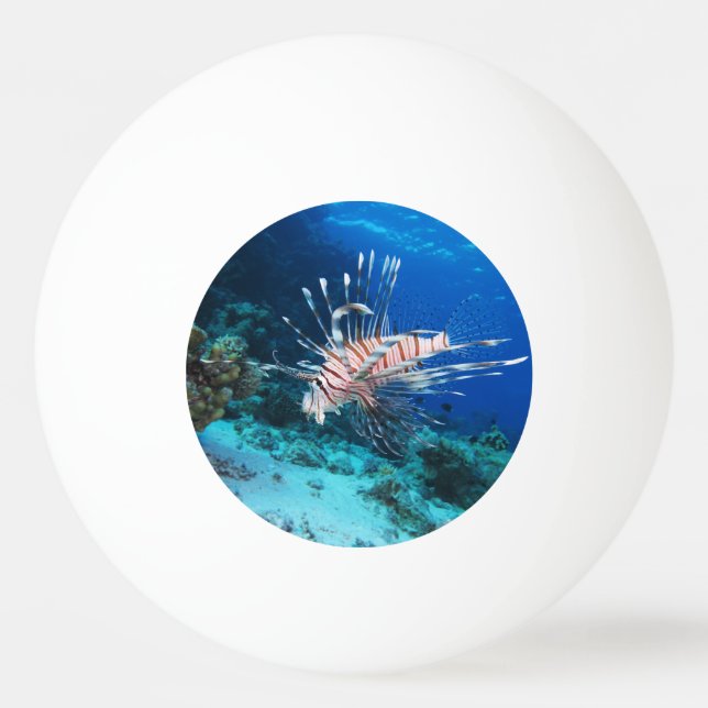 Seeteufel oder Seemeilen, Seefische der Ocean Reef Tischtennisball (Vorderseite)