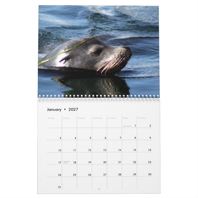 Seetiere 2015 kalender (Jan 2027)