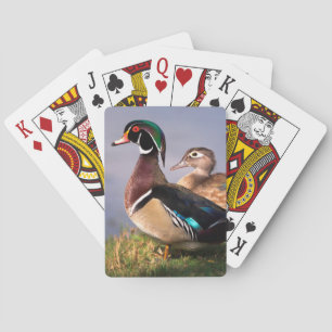 Seeufer, hölzerne Ente Spielkarten