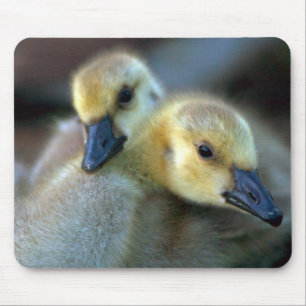 Seeufer Mousepad