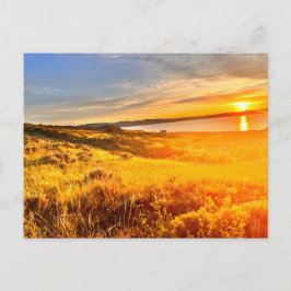 Seeuferfeld Postkarte