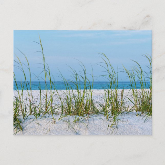 Seeziegel auf weißem Sand Postkarte (Vorderseite)