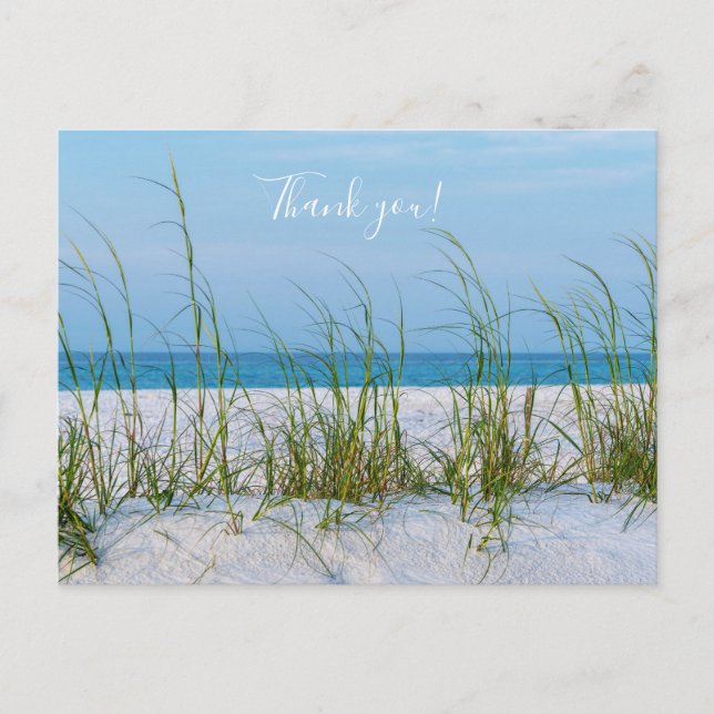Seeziegel in weißem Sand Danke Postcard Postkarte (Vorderseite)