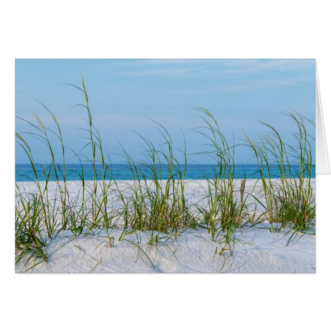 Seeziegel in weißer Sand-Grußkarte (Vorderseite (Horizontal))