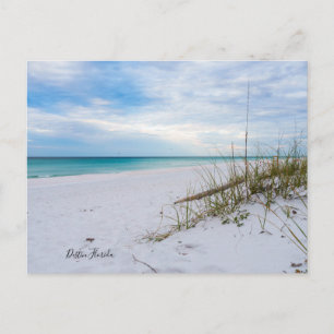 Seeziegen und weißer Sandstrand Morgens Postkarte