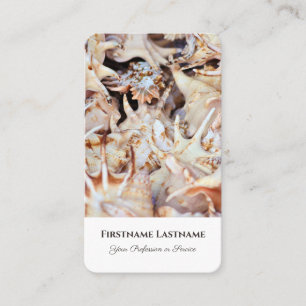 Seezungenklösser - Agent Visitenkarte