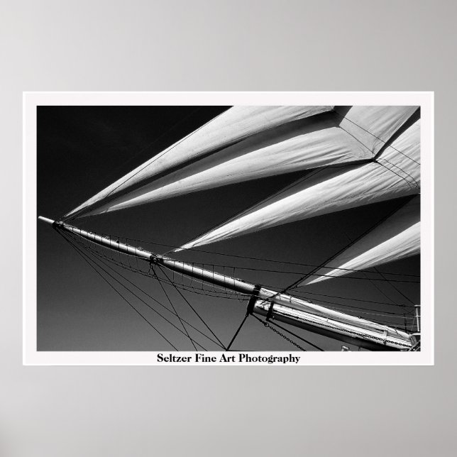 Segel Poster (Vorne)