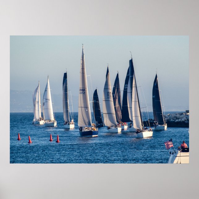 Segelboot Hauptkanal - Marina Del Rey, CA Poster (Vorne)