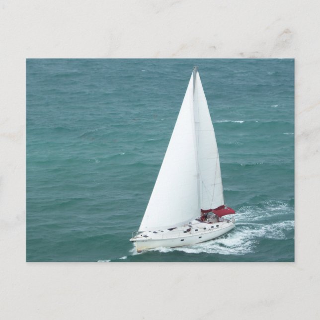 Segelboot-Postkarte Postkarte (Vorderseite)